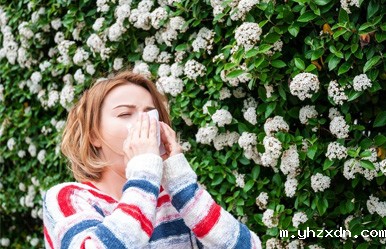 yhzxdn_过敏