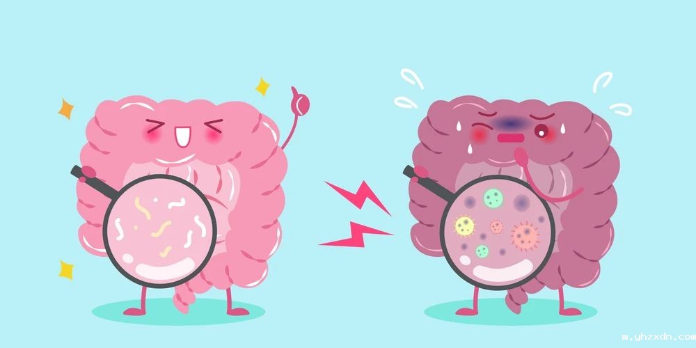 上海高端体检中心解答：腹泻，一定要吃抗生素吗？