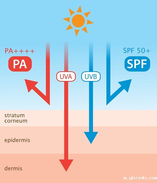 stock-vector-158363444-xl-2015