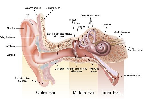 stock-vector-11171791-m-2015 stock-vector-11171791-m-2015