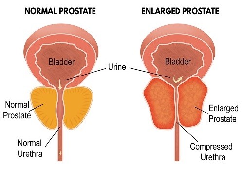 stock-vector-86807996-M stock-vector-86807996-M
